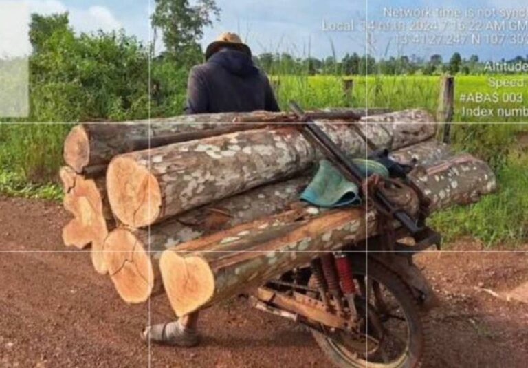 ឈ្មួញសម្រុកដឹកវល្លិឈាមនិងឈើល្អៗទៅលក់ឲ្យវៀតណាមតាមច្រកភូមិឡុំ